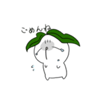 カブちゃん（個別スタンプ：13）