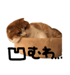 春米すたんぷ 16コマ（個別スタンプ：4）