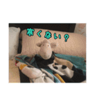 やんのすけ（個別スタンプ：1）
