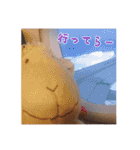 やんのすけ（個別スタンプ：3）