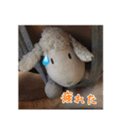 やんのすけ（個別スタンプ：13）