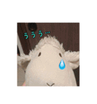 やんのすけ（個別スタンプ：14）