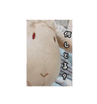 やんのすけ（個別スタンプ：17）