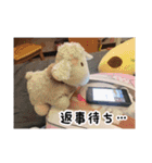 やんのすけ（個別スタンプ：19）