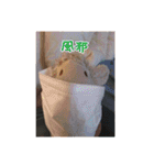 やんのすけ（個別スタンプ：24）