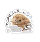 ハリネズミのノア＆カミー★3（個別スタンプ：13）