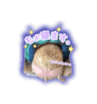 ハリネズミのノア＆カミー★3（個別スタンプ：15）