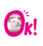うちのベルゼブブちゃん（個別スタンプ：9）