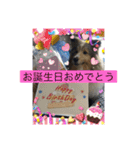 琥珀くんスタンプ②（個別スタンプ：1）
