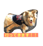 琥珀くんスタンプ②（個別スタンプ：9）