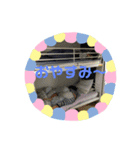 やったかな？（個別スタンプ：3）