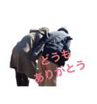 篠原家のスタンプ（個別スタンプ：2）