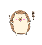 ハリーちゃんスタンプ（個別スタンプ：12）