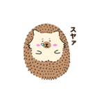ハリーちゃんスタンプ（個別スタンプ：13）