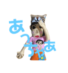 手作りお人形スタンプ（個別スタンプ：1）