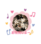 景色と日常会話（個別スタンプ：1）