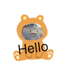景色と日常会話（個別スタンプ：16）