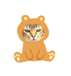 ネコちゃんたち集合2（個別スタンプ：23）