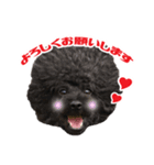笑う犬の「うめ」第2弾（個別スタンプ：1）