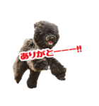 笑う犬の「うめ」第2弾（個別スタンプ：2）