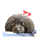 笑う犬の「うめ」第2弾（個別スタンプ：3）