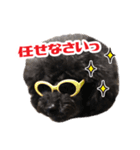 笑う犬の「うめ」第2弾（個別スタンプ：4）