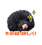 笑う犬の「うめ」第2弾（個別スタンプ：6）