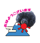 笑う犬の「うめ」第2弾（個別スタンプ：7）