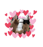 kotamomolove（個別スタンプ：1）