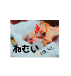 猫たちのきもち（個別スタンプ：4）