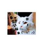 猫たちのきもち（個別スタンプ：5）