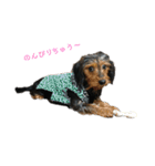 愛犬えるの日常2（個別スタンプ：5）
