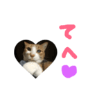 プーぞう、文字手書き編（個別スタンプ：1）