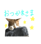 プーぞう、文字手書き編（個別スタンプ：2）
