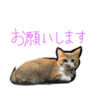 プーぞう、文字手書き編（個別スタンプ：3）