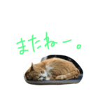 プーぞう、文字手書き編（個別スタンプ：6）