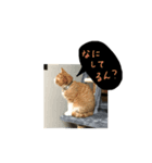 プーぞう、文字手書き編（個別スタンプ：7）