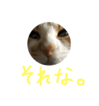 プーぞう、文字手書き編（個別スタンプ：8）