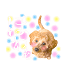 タップちゃんのスタンプ2（個別スタンプ：17）