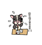 フレブル君スタンプ【よく使う日常会話】（個別スタンプ：16）