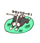 フレブル君スタンプ【よく使う日常会話】（個別スタンプ：24）