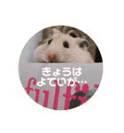 MEGURU,のめぐるん（個別スタンプ：4）