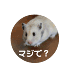 MEGURU,のめぐるん（個別スタンプ：5）