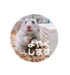 MEGURU,のめぐるん（個別スタンプ：6）