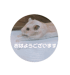 MEGURU,のめぐるん（個別スタンプ：7）