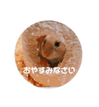 MEGURU,のめぐるん（個別スタンプ：8）