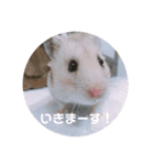 MEGURU,のめぐるん（個別スタンプ：13）