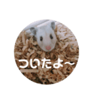 MEGURU,のめぐるん（個別スタンプ：14）
