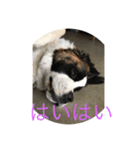 太郎 鼻（個別スタンプ：1）