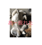 太郎 鼻（個別スタンプ：2）